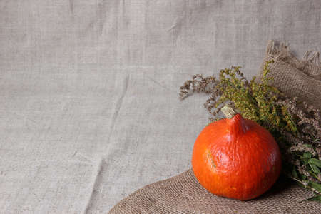 Halloween autumn still life. Pumpkin, herbs. Light canvas background. Copy spaceの写真素材