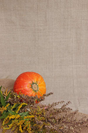 Halloween autumn still life. Pumpkin, herbs. Light canvas background. Copy spaceの写真素材