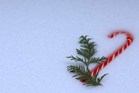 Christmas red candy cane on the background of real snow.