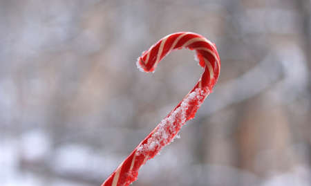 Christmas red candy cane on the background of real snow.