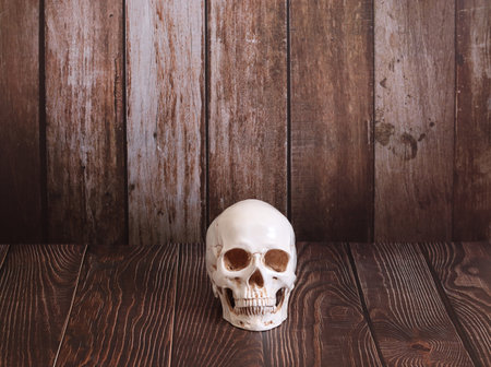 still life in Gothic Halloween style. a skull. The table of a witch, an alchemist, a magician.の写真素材