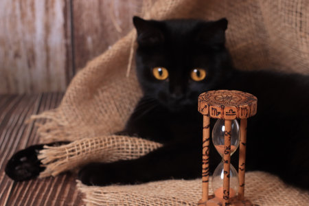 still life in Gothic Halloween style. Black cat, runes, hourglass with runic signs. The table of a...