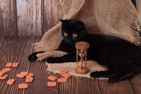 still life in Gothic Halloween style. Black cat, runes, hourglass with runic signs. The table of a witch, an alchemist, a magicianの写真素材