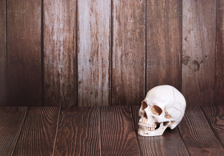 still life in Gothic Halloween style. a skull. The table of a witch, an alchemist, a magician.の写真素材