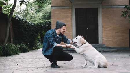 A guy is squatting near the golden labrador at the backyard in a beautiful bright day. He is holding...