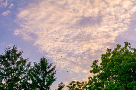 Small balloons flying over purple sky with white cloudsの写真素材