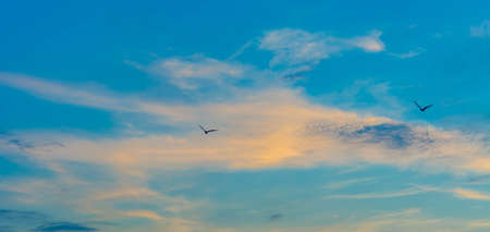 Two birds flying over light blue sky with cloudsの写真素材