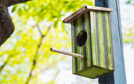 Green bird houseの写真素材