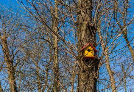 Bird house in a tree on spring timeの写真素材