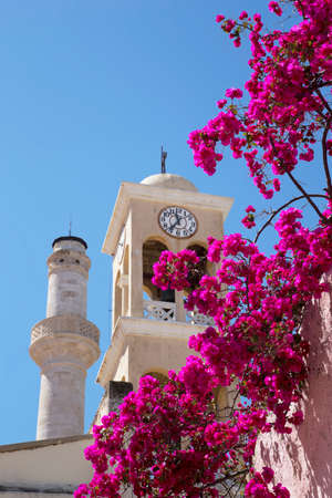 Pink bush on the background of the clock towerの写真素材