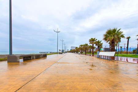 seaside promenade in Georgia. On the waterfront with palm trees. There is a place for walking and cyclingの写真素材