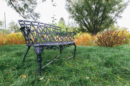 wrought-iron bench on the grassの写真素材