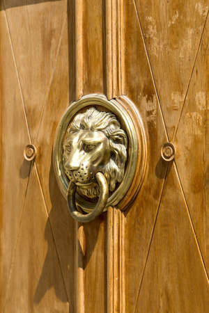 cast brass lion door knob on a wooden door