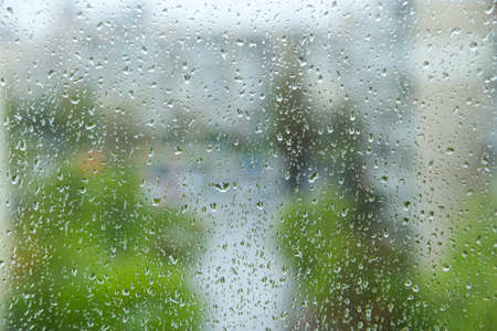 raindrops on the glass a blurred background. behind the window growing greens