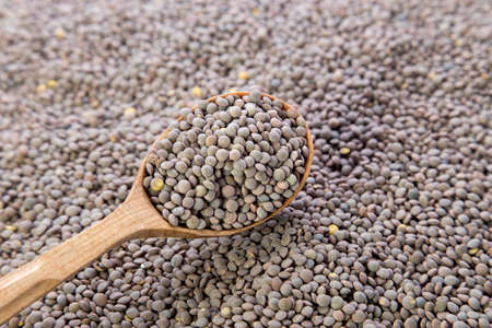 lentils vegetarian food  in a wooden spoon. view from above. close up.