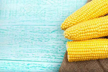 three raw corn in a clay plate on a blue background on a napkin, with space for text