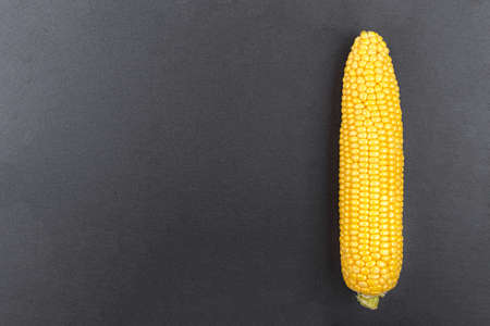 raw corn on a black background with space fore text