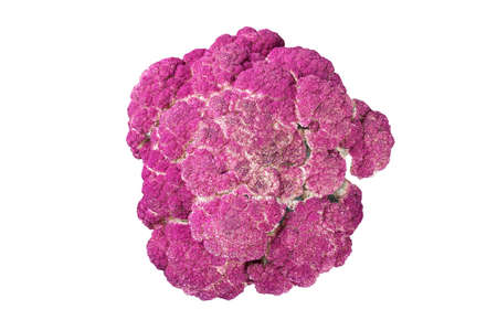 Purple cauliflower on a white background isolated, diet, healthy eatingの写真素材