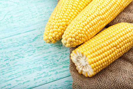 three raw corn in a clay plate on a blue background on a napkin, with space for text