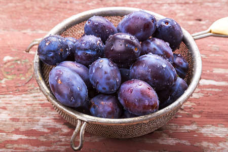 Fresh organic ripe plum on the tableの写真素材