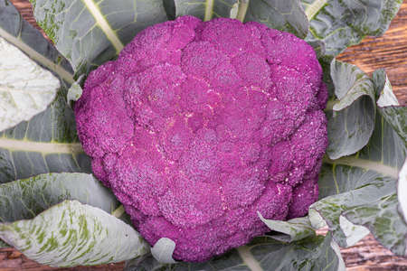 purple cauliflower with leaves, autumn harvest, healthy food