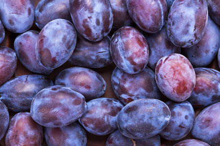 lot of ripe plums as a backgroundの写真素材