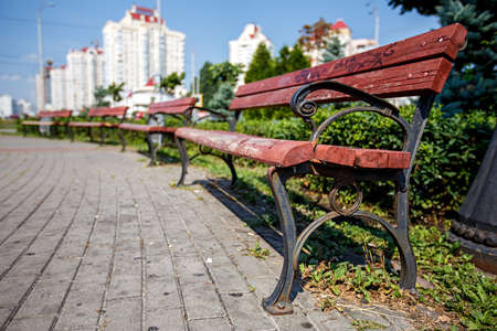 benches stand in a row along the the walkway of the city  alley, summer dayの写真素材