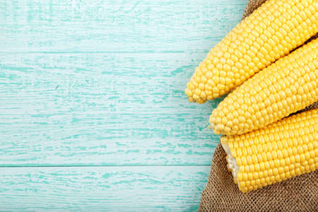 three raw corn in a clay plate on a blue background on a napkin, with space for textの写真素材
