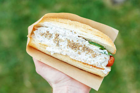 Hot dog on the grass background, street food at the festival, sausage in creamy-nut sauce