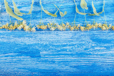 linden blossoms on a wooden background, room for text. relaxing and healthy Linden teaの写真素材