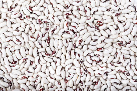 healthy nutritious food uncooked kidney beans scattered as a backgroundの写真素材