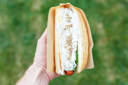 Hot dog in hand on a green background, sausage with sauce in a loaf, street food, space for textの写真素材