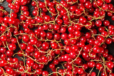 A lot of red currant scattered, bright berry backgroundの写真素材