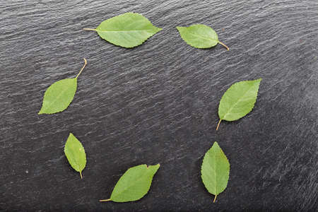 Leaves of sweet cherries laid out in a circle on a black slate background, space for text