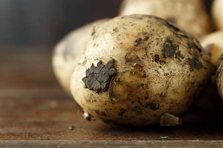 pile of young potatoes on a dark brown wooden background, space for textの写真素材