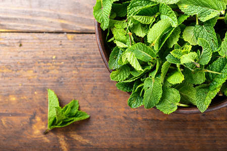 Mint in a clay plate, culinary herbs, space for textの写真素材