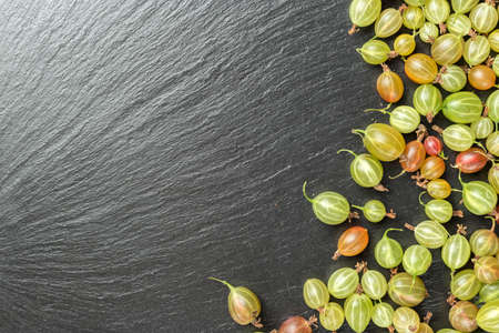 Ripe gooseberry strewn with a dense background, a bright berry background, a place for text on a black slate surfaceの写真素材