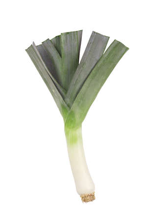 leek isolated on white background, place for textの写真素材