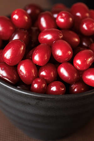 a bright red dogwood in a black plate, a contrasting picture on a dark backgroundの写真素材