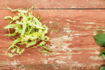 linden color on a wooden background. top viewの写真素材