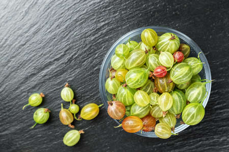 Gooseberries in a glass plate, and scattered next to a plate on a black background of a slate board, space for textの写真素材