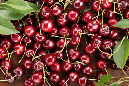 Red sweet cherry with leaves, summer background, place for textの写真素材