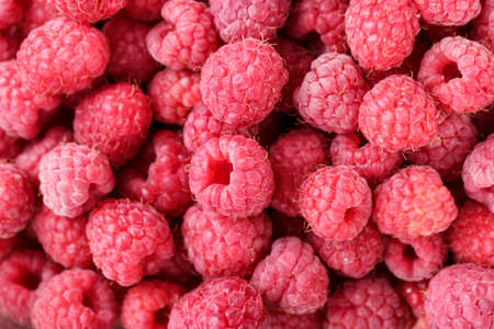 raw fresh raspberry as background, close-up, well-visible texture of berries, space for text