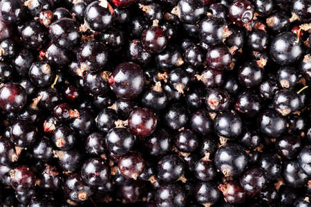 natural antioxidant fresh organic currant on a wooden background, space for text