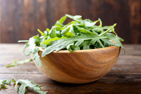 Fresh arugula leaves rucola, fresh rucola  in a plate, space for text.の写真素材