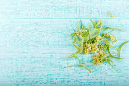 linden color on a wooden background. top viewの写真素材