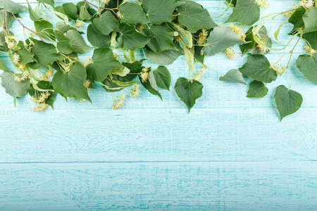 linden color on a wooden background. top view