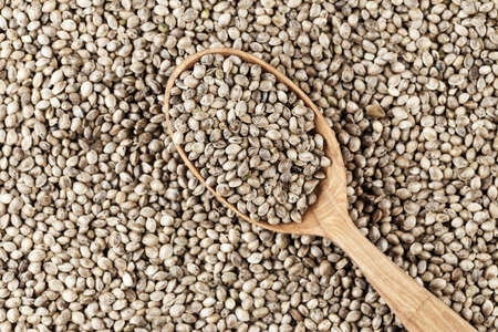 hemp seeds are scattered as a background, on top lies a rustic wooden spoonの写真素材