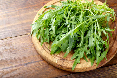 Fresh arugula leaves rucola, fresh rucola  in a plate, space for text.の写真素材
