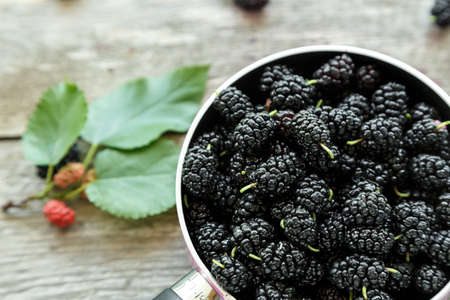 black mulberry berries in a pink pot on a wooden table. in the foreground are mulberry berries and sprig with ripened berries.の写真素材